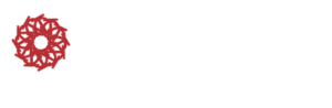 AZN Systems